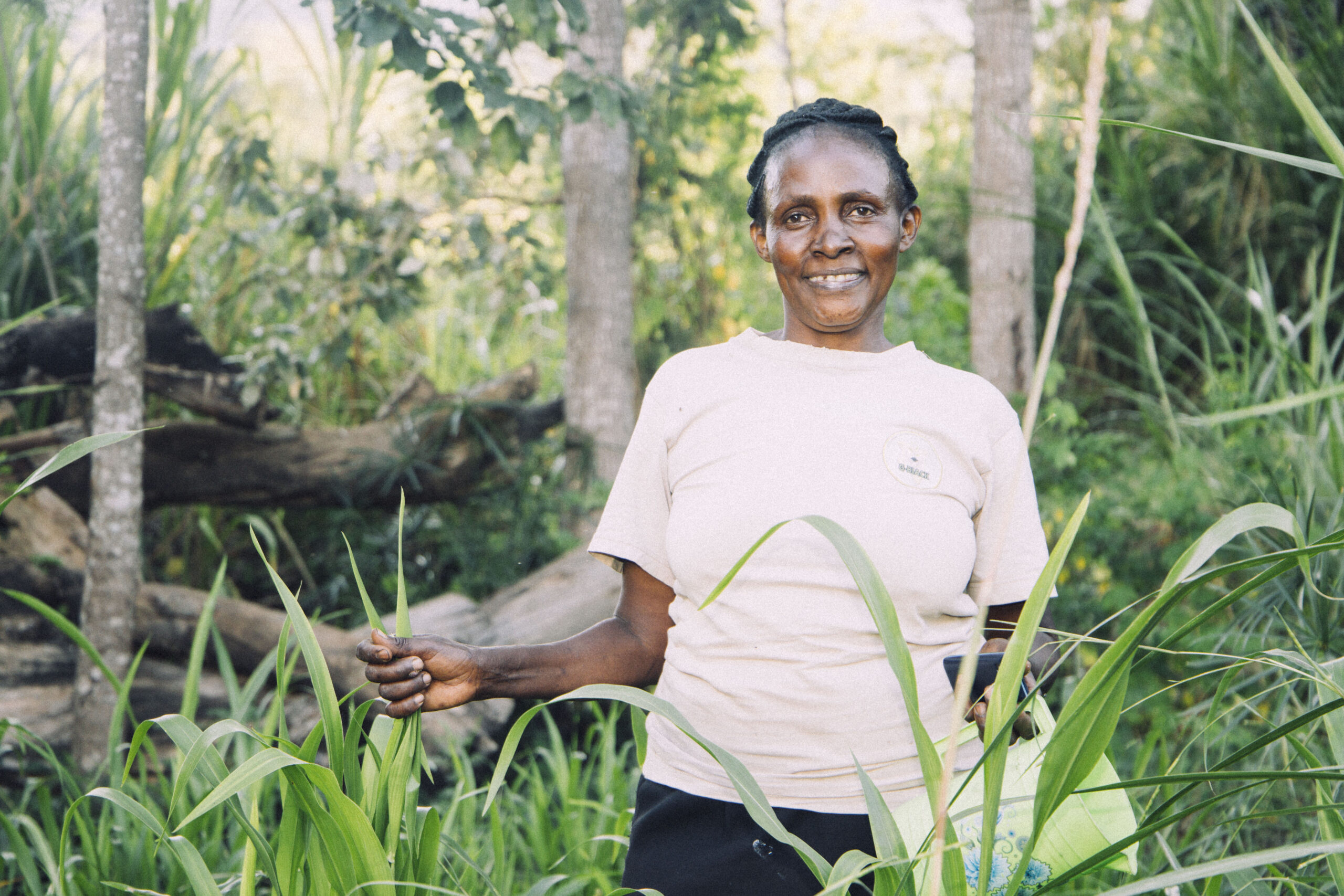 About IMG 0110 Scaled