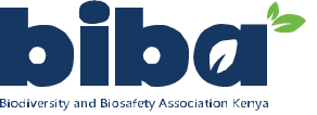 biba