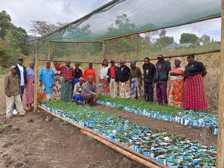 whatsapp image 2025 09 02 at 22.05.52 3bb9e10b