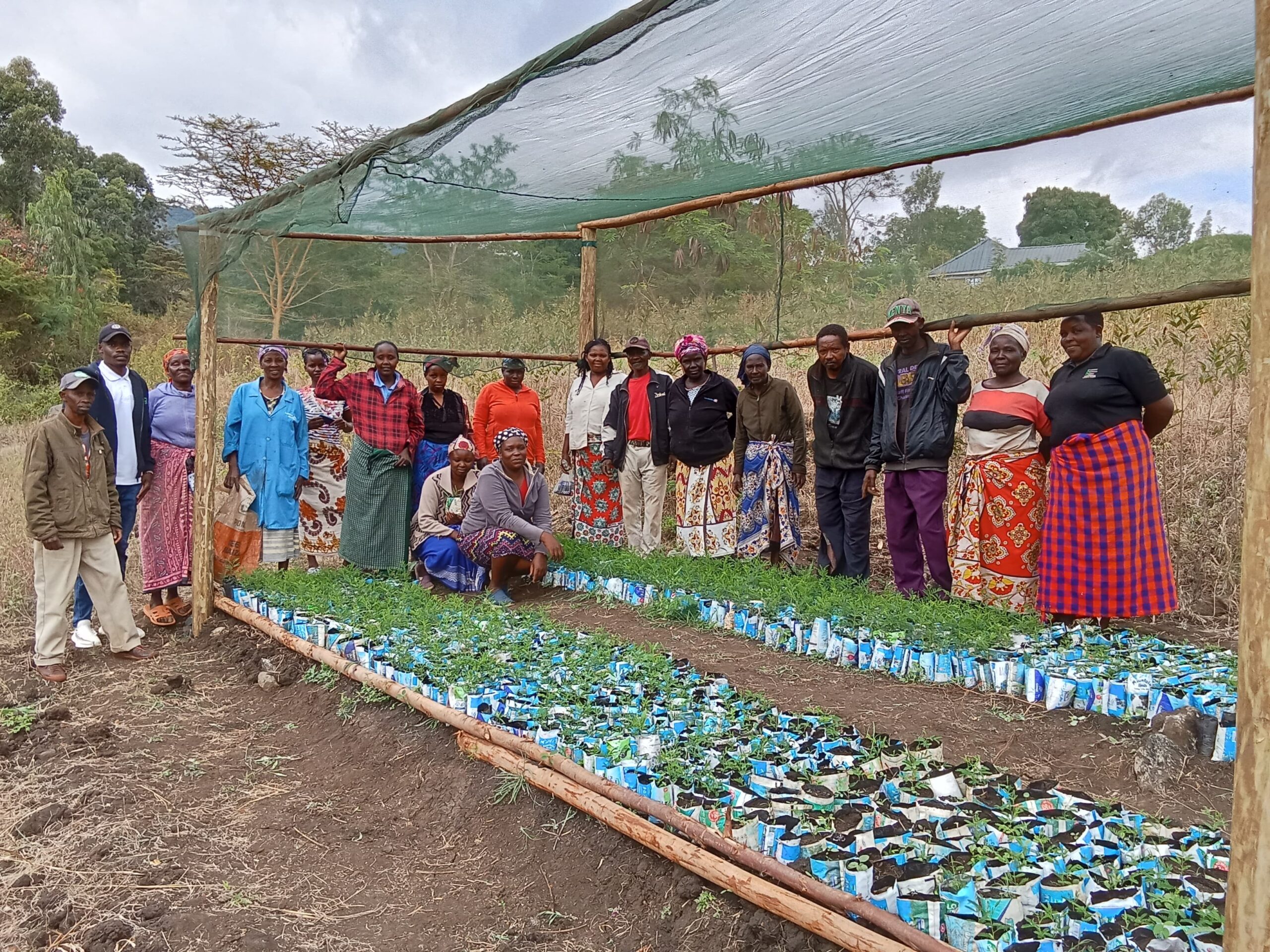 whatsapp image 2025 09 02 at 22.05.52 3bb9e10b