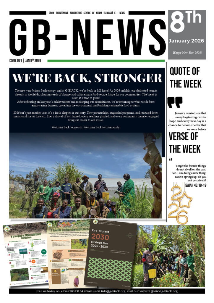 gb news issue 031