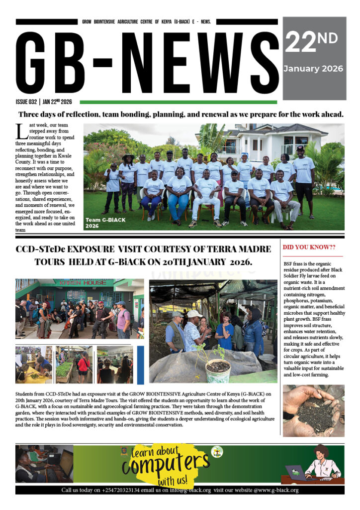 gb news issue 032