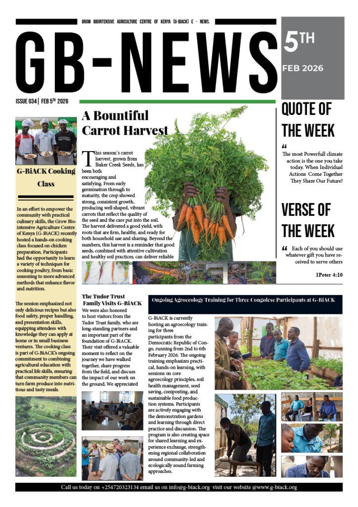 gb news issue 034