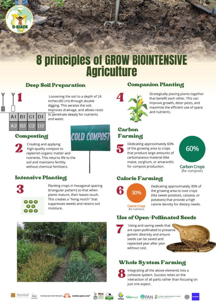 white red maroon illustrative friendship benefits infographic poster (1)