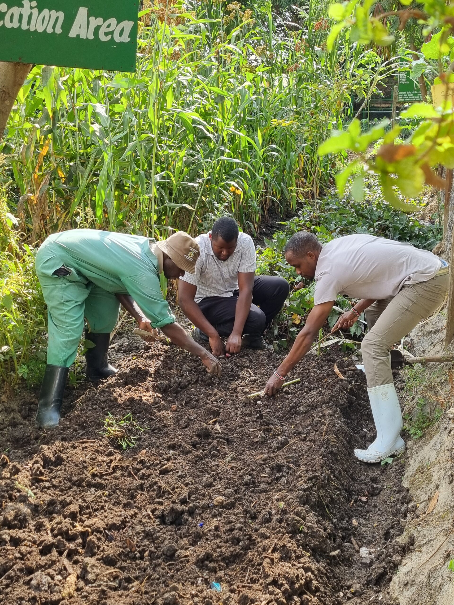 Women biointensive training Kenya