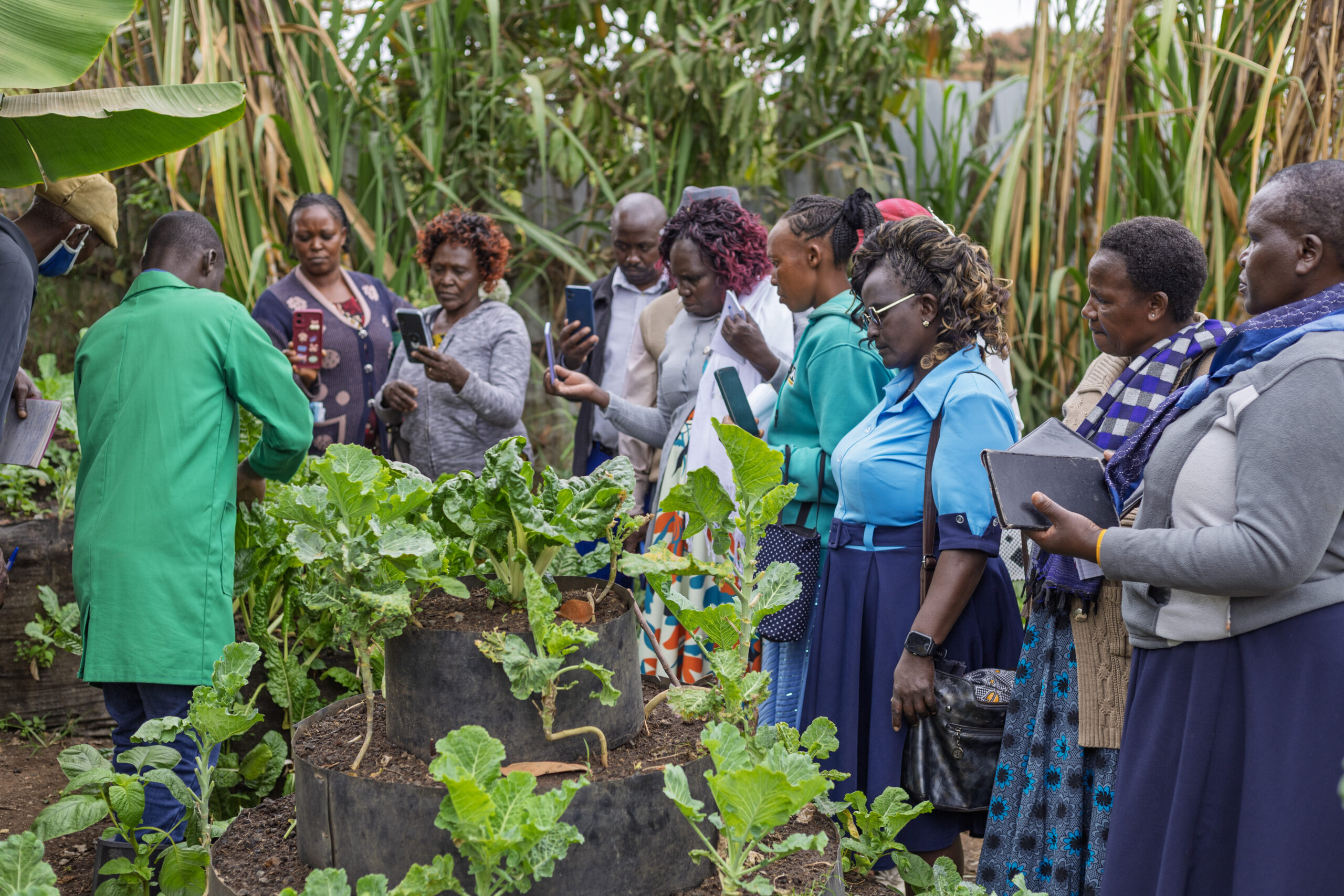 G-BiACK founders Samuel and Peris Nderitu at their demonstration farm in Thika