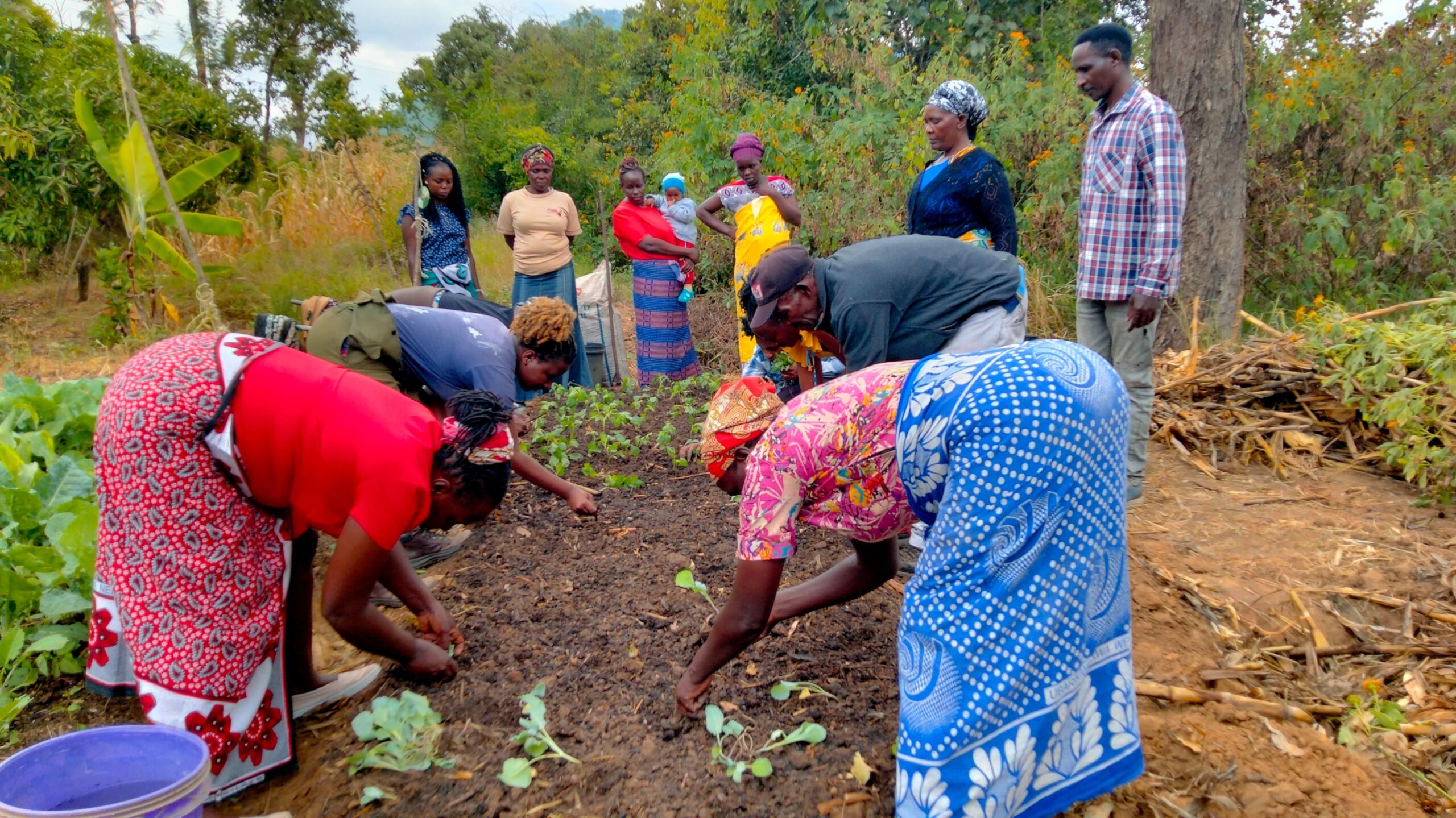 Young man farming biointensive after returning from Nairobi