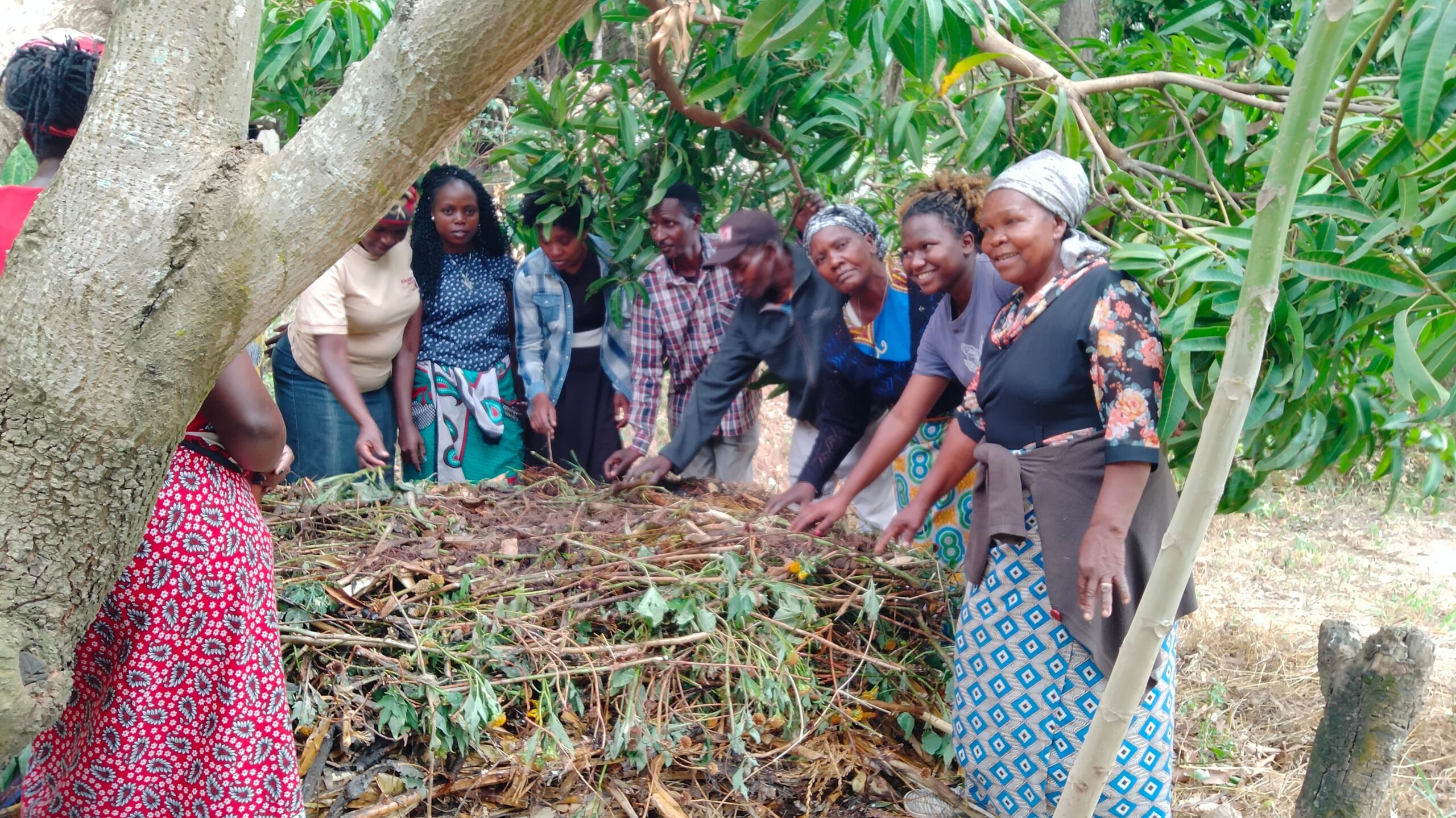 Composting and soil health biointensive training