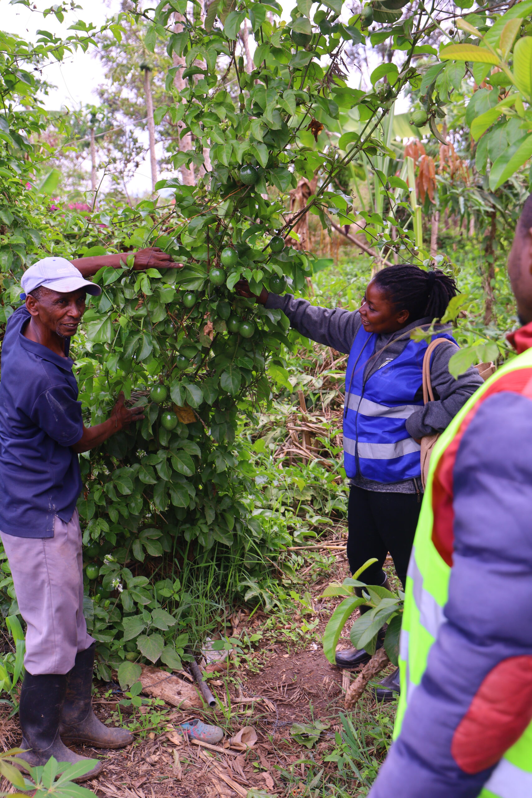 Partner field visit to G-BiACK campus