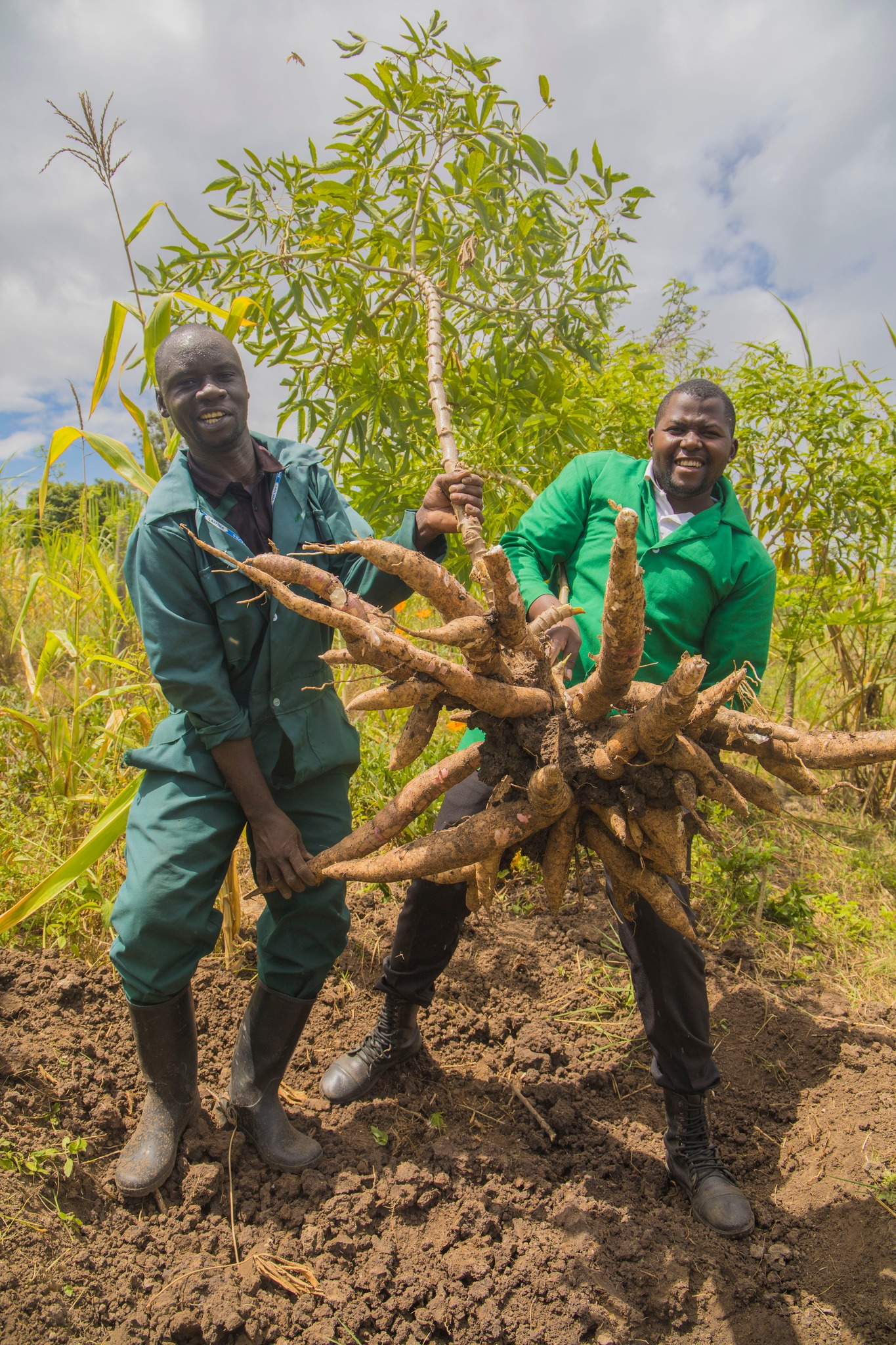 Farmers with harvested produce Kenya