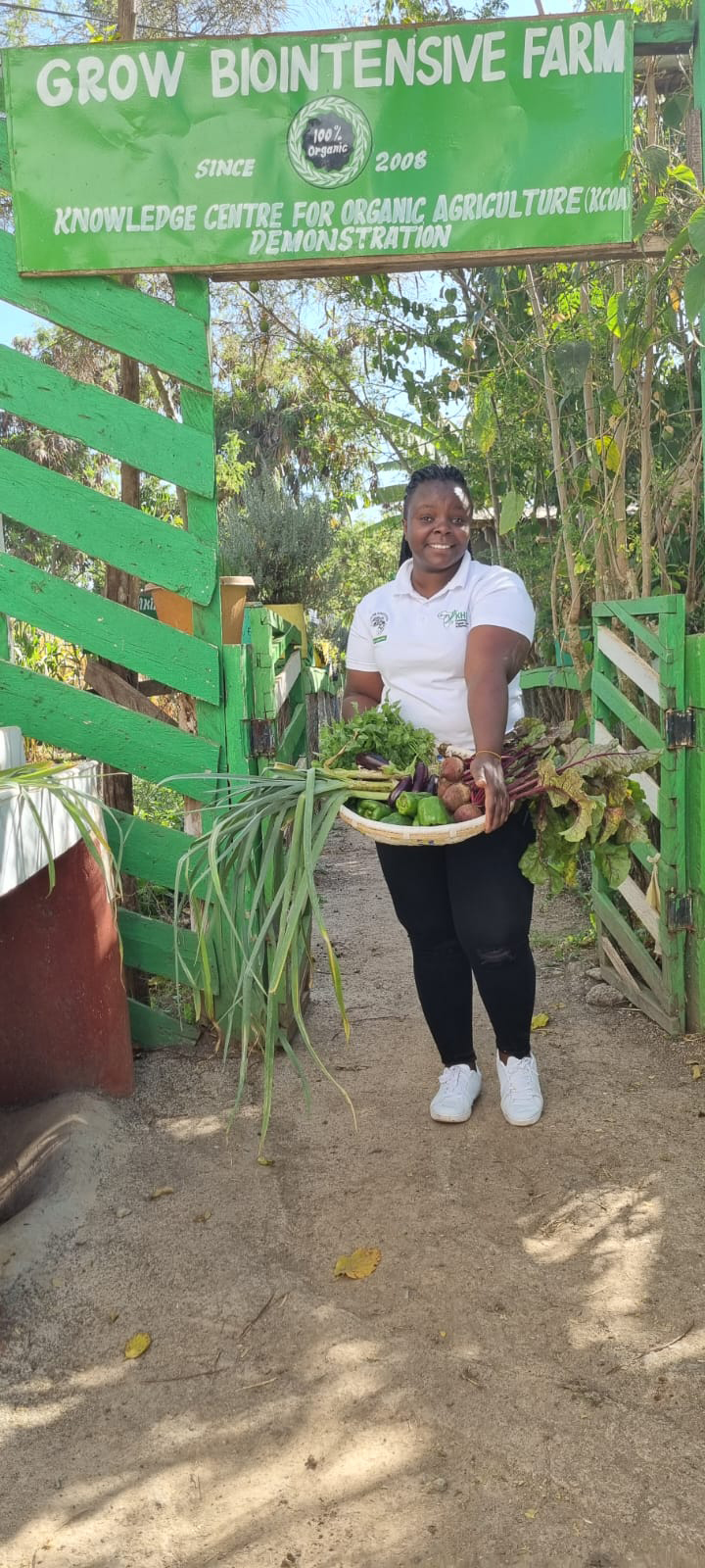 Fresh harvest from biointensive beds