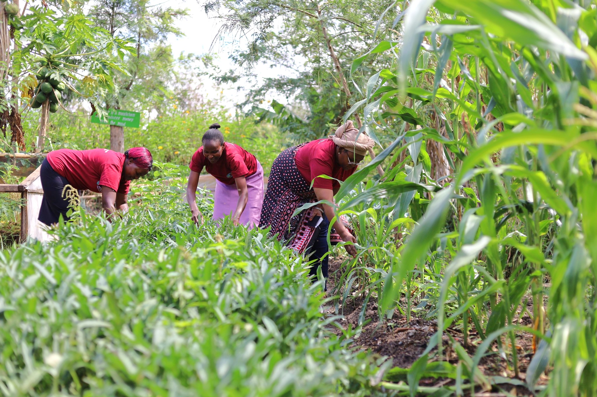 2012 Food Sovereignty Prize