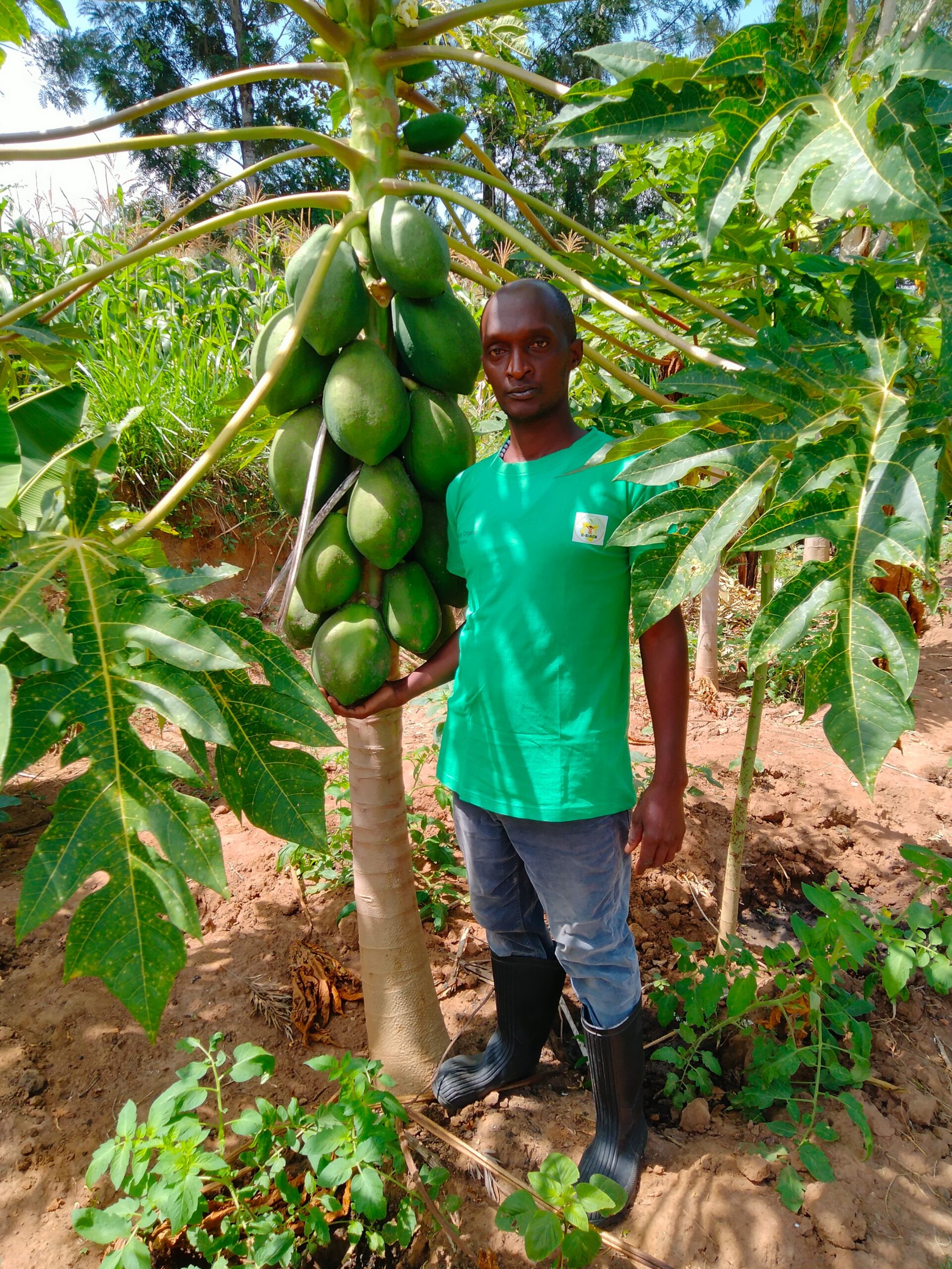 Seed saving community seed bank Kenya